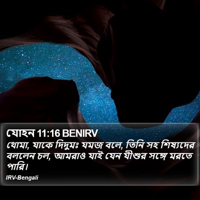 যোহন 11:16 BENIRV Bible Verse Image