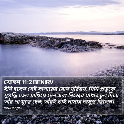 যোহন 11:2 BENIRV Bible Verse Image