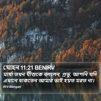 যোহন 11:21 BENIRV Bible Verse Image