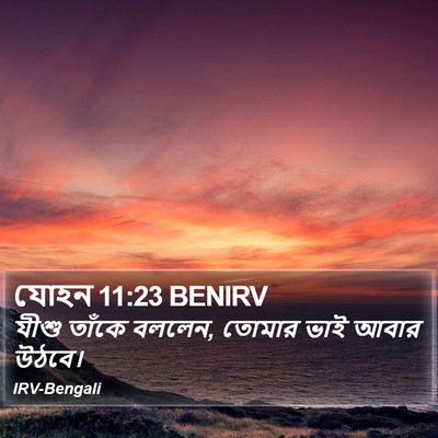 যোহন 11:23 BENIRV Bible Verse Image