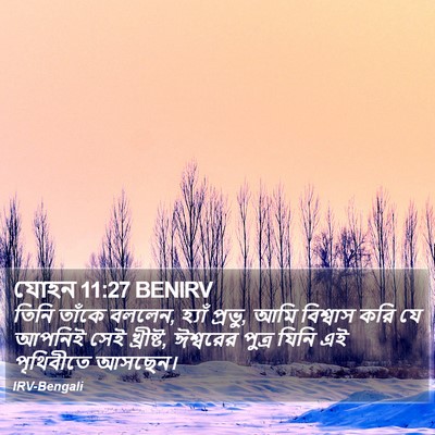 যোহন 11:27 BENIRV Bible Verse Image