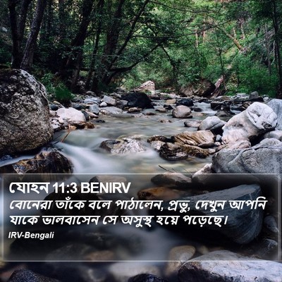যোহন 11:3 BENIRV Bible Verse Image