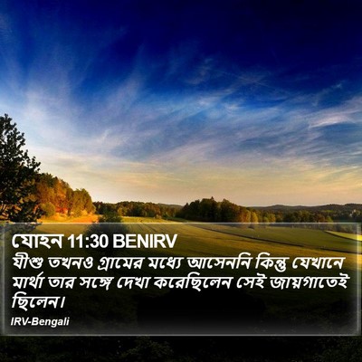 যোহন 11:30 BENIRV Bible Verse Image