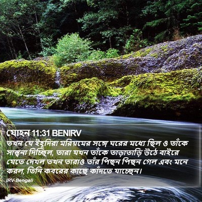 যোহন 11:31 BENIRV Bible Verse Image