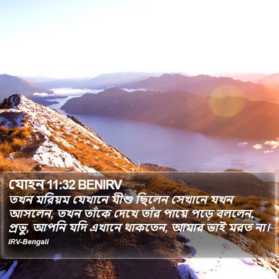 যোহন 11:32 BENIRV Bible Verse Image