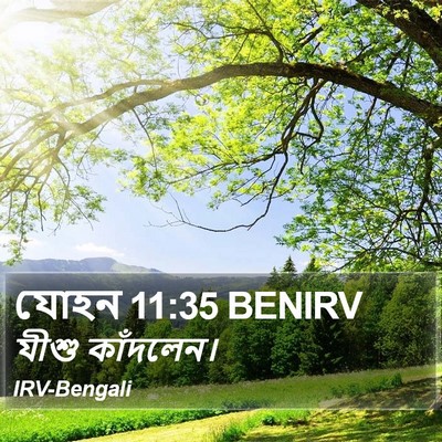 যোহন 11:35 BENIRV Bible Verse Image