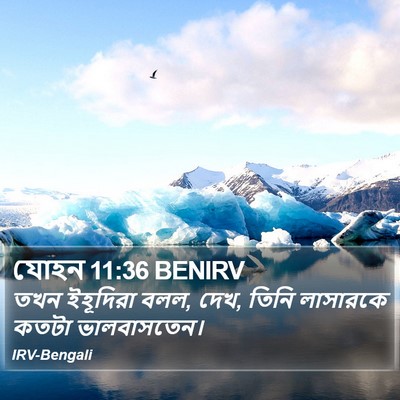 যোহন 11:36 BENIRV Bible Verse Image