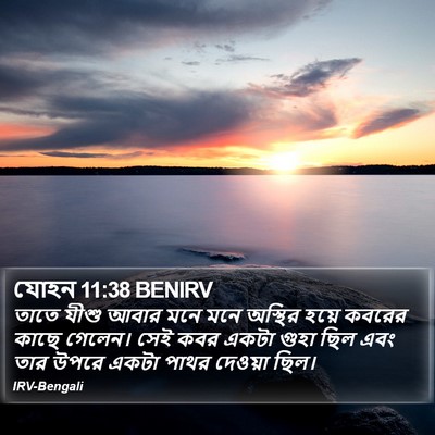 যোহন 11:38 BENIRV Bible Verse Image