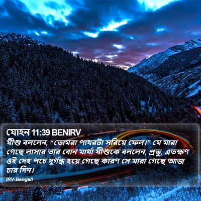 যোহন 11:39 BENIRV Bible Verse Image