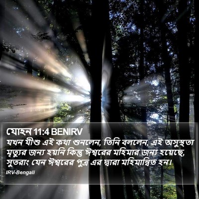 যোহন 11:4 BENIRV Bible Verse Image