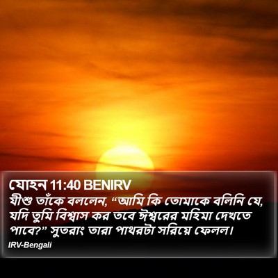 যোহন 11:40 BENIRV Bible Verse Image