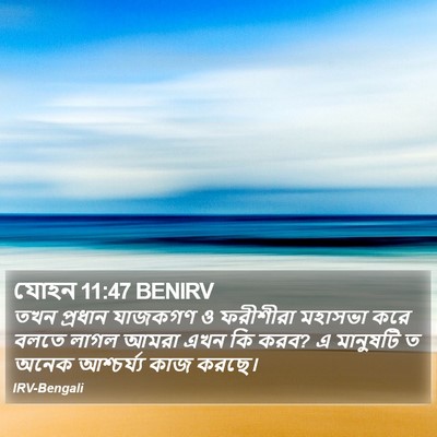 যোহন 11:47 BENIRV Bible Verse Image