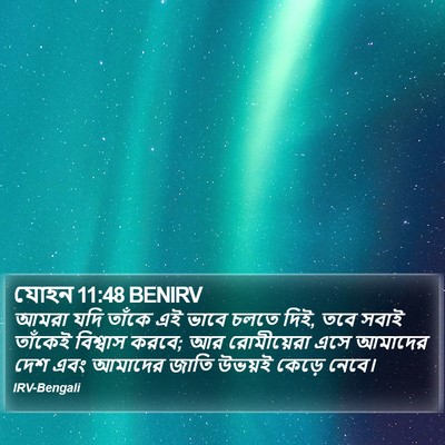 যোহন 11:48 BENIRV Bible Verse Image