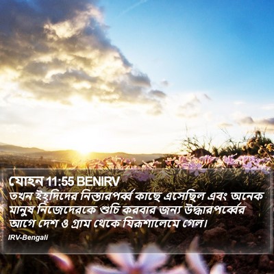 যোহন 11:55 BENIRV Bible Verse Image