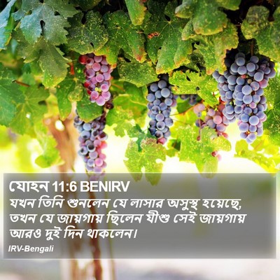 যোহন 11:6 BENIRV Bible Verse Image