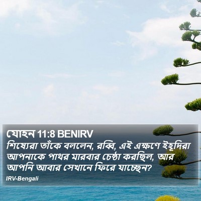 যোহন 11:8 BENIRV Bible Verse Image