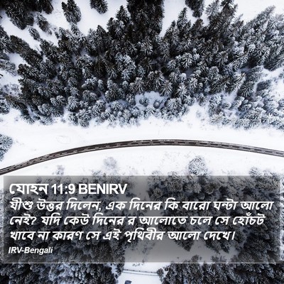যোহন 11:9 BENIRV Bible Verse Image