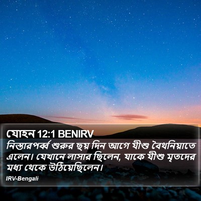 যোহন 12:1 BENIRV Bible Verse Image