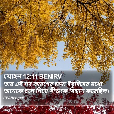 যোহন 12:11 BENIRV Bible Verse Image