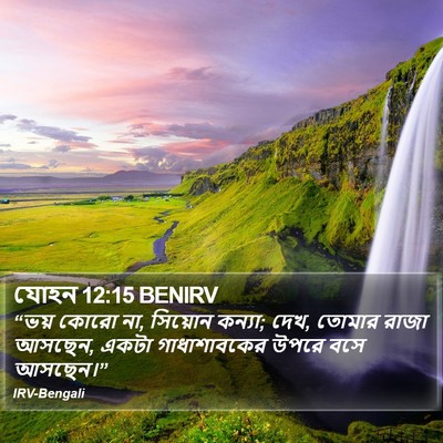 যোহন 12:15 BENIRV Bible Verse Image