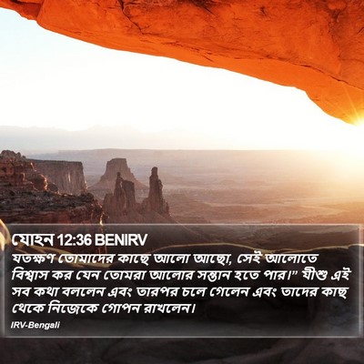 যোহন 12:36 BENIRV Bible Verse Image