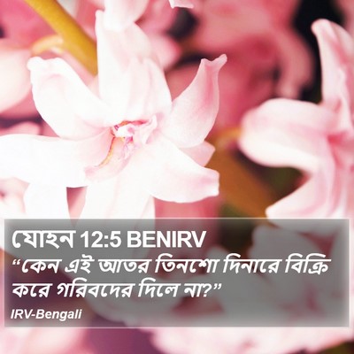 যোহন 12:5 BENIRV Bible Verse Image
