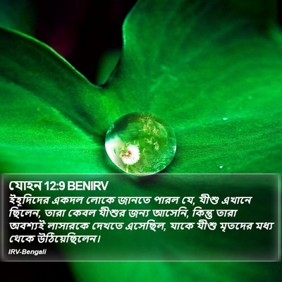 যোহন 12:9 BENIRV Bible Verse Image
