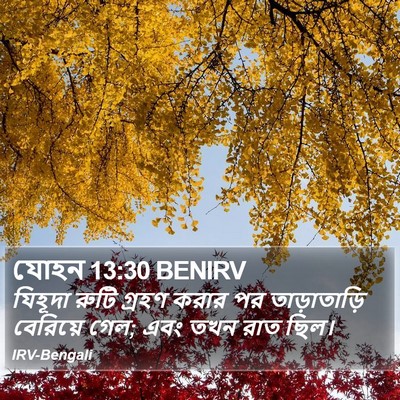যোহন 13:30 BENIRV Bible Verse Image