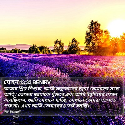 যোহন 13:33 BENIRV Bible Verse Image