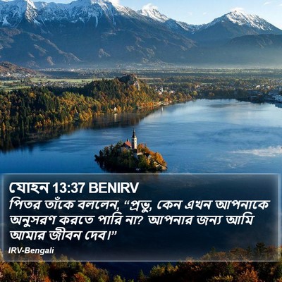 যোহন 13:37 BENIRV Bible Verse Image