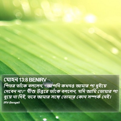 যোহন 13:8 BENIRV Bible Verse Image