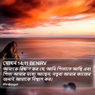 যোহন 14:11 BENIRV Bible Verse Image