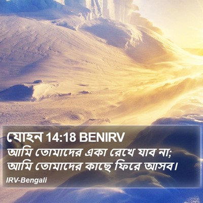 যোহন 14:18 BENIRV Bible Verse Image