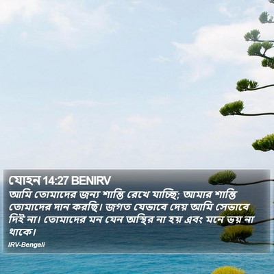 যোহন 14:27 BENIRV Bible Verse Image