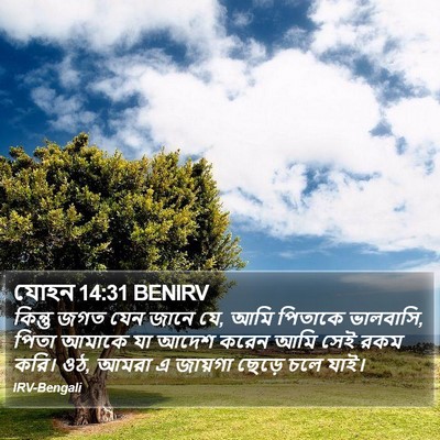 যোহন 14:31 BENIRV Bible Verse Image