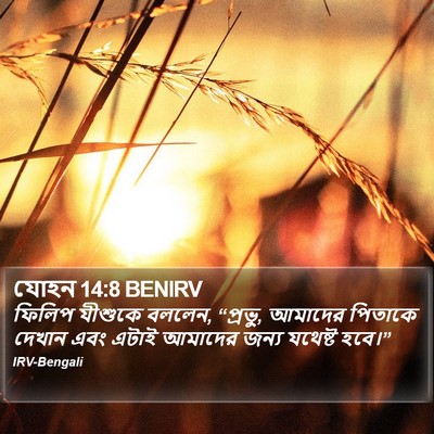 যোহন 14:8 BENIRV Bible Verse Image