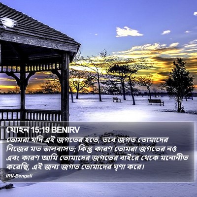 যোহন 15:19 BENIRV Bible Verse Image