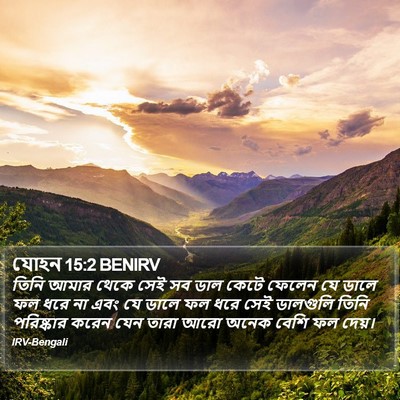 যোহন 15:2 BENIRV Bible Verse Image
