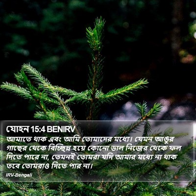 যোহন 15:4 BENIRV Bible Verse Image