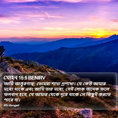 যোহন 15:5 BENIRV Bible Verse Image
