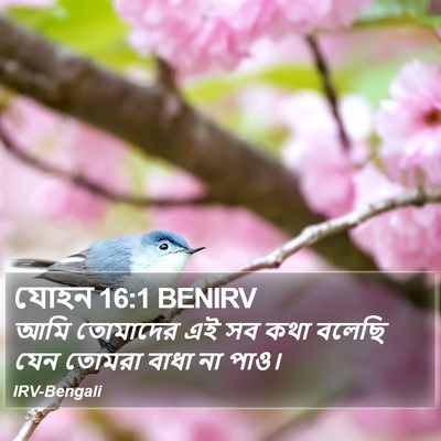 যোহন 16:1 BENIRV Bible Verse Image