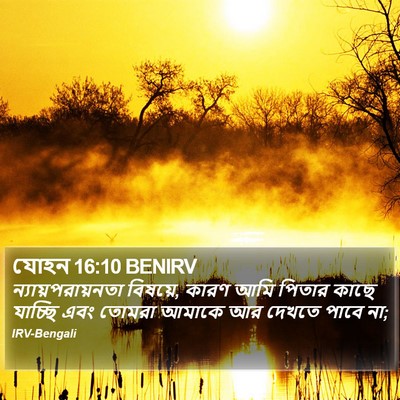 যোহন 16:10 BENIRV Bible Verse Image