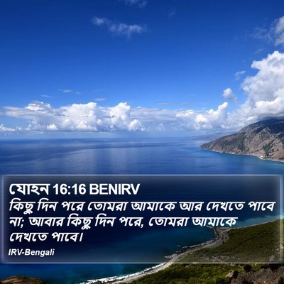 যোহন 16:16 BENIRV Bible Verse Image