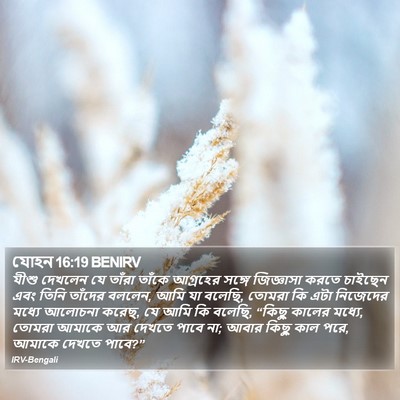 যোহন 16:19 BENIRV Bible Verse Image