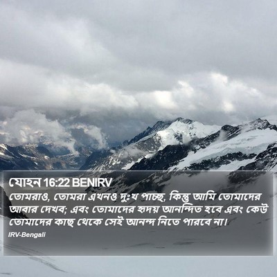যোহন 16:22 BENIRV Bible Verse Image