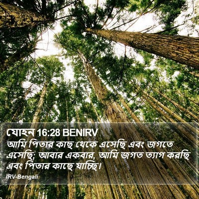 যোহন 16:28 BENIRV Bible Verse Image