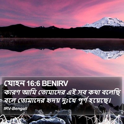যোহন 16:6 BENIRV Bible Verse Image