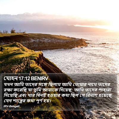 যোহন 17:12 BENIRV Bible Verse Image