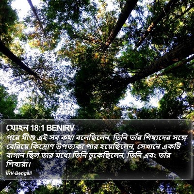 যোহন 18:1 BENIRV Bible Verse Image