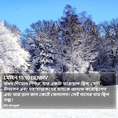 যোহন 18:10 BENIRV Bible Verse Image